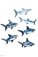 lemon sharks and hammer head sharks tattoo design idea