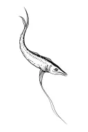 eel swimming tattoo design idea