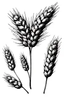 Wheat tattoo design idea