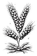 Wheat tattoo design idea