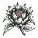 protea flower transforming tattoo design idea