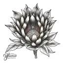 protea flower transforming tattoo design idea