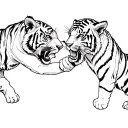 two tiger cubs fighting tattoo design idea