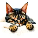 cat sleeping tattoo design idea