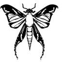 moth tattoo design idea