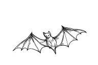mountain bat tree tattoo design idea