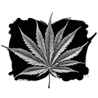 marijuana leaf morphing tattoo design idea