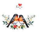 2 robin bird together symbolizing love black grey and orange with snowdrop, holly, roses, daisies, narcissus, daffodils  tattoo design idea