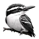 Kookaburra tattoo design idea