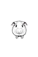 Guinea Pig tattoo design idea