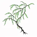 willow tree  tattoo design idea