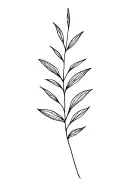 fine line stem and leaves tattoo design idea