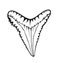 Shark tooth tattoo design idea