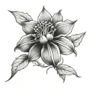 Clematis pixie flower tattoo design idea