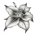 Clematis pixie flower tattoo design idea