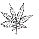 Pot Leaf tattoo design idea