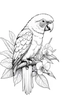 design a tattoo featuring saint lucia amazon parrot, the pitons, and lush subtropical nature with wild orchids  tattoo design idea