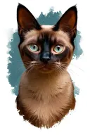 siamese cat tattoo design idea