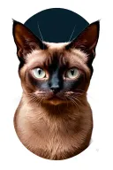 siamese cat tattoo design idea