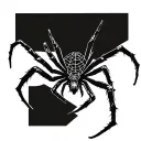 Spider with spider web knee cap tattoo design idea