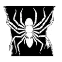 Spider with spider web knee cap tattoo design idea