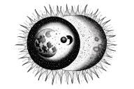 Sun and Luna tattoo design idea