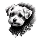 maltese sketch tattoo design idea