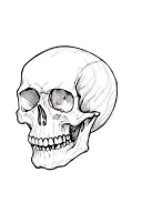 skull soft shading tattoo design idea