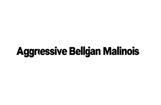 "Aggressive Belgian Malinois" tattoo design idea