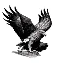 red tail hawk  tattoo design idea
