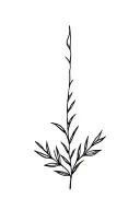 abide olive branch intertwined tattoo design idea