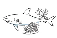 minimalist reef shark and a coral reef scene tattoo design idea