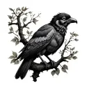 Cuervo Posado in a tree tattoo design idea