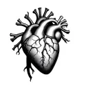 anatomical heart with kintsugi style tattoo design idea