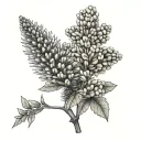 Draw me a tattoo in colour with the following flowers - Acacia dunnii  Banksia dentata Alphitonia excela Bombax ceiba   tattoo design idea