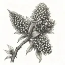 Draw me a tattoo in colour with the following flowers - Acacia dunnii  Banksia dentata Alphitonia excela Bombax ceiba   tattoo design idea