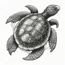 shellback turtle with an anchor tattoo design idea