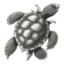 shellback turtle with an anchor tattoo design idea