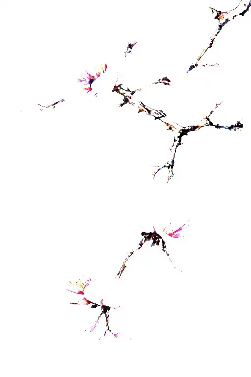 A Japanese-inspired illustration featuring a delicate branch with vertically arranged soft pink magnolia blossom framed tattoo design idea