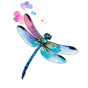 dragonfly tattoo design idea