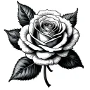 fine lined yorkshire rose tattoo design idea