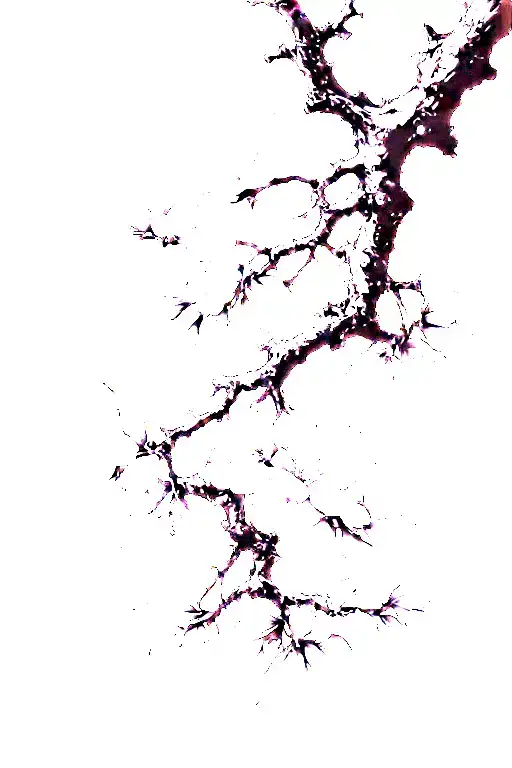 Anime style wilted Sakura tree branches tattoo design idea