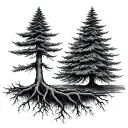 Douglas fir tree with roots reaching deep tattoo design idea