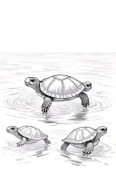 3 turtles swimming tattoo design idea