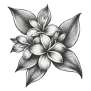 frangipani flower tattoo design idea