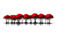 red mangroves in a row tattoo design idea