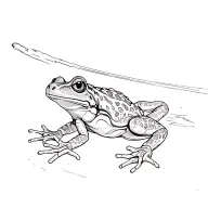 frogman tattoo design idea