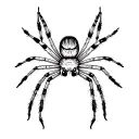 jumping spider tattoo design idea