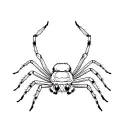 jumping spider tattoo design idea