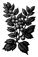 juniper tree branch single simple with berries fine line no background tattoo design idea